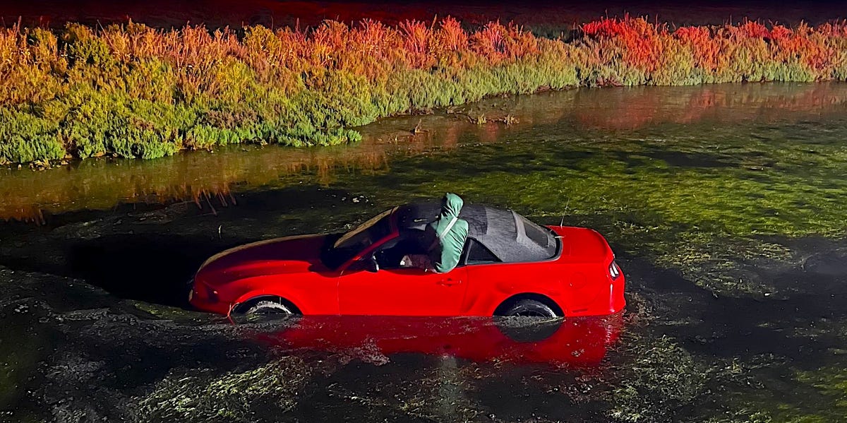 Ford Mustang Driver Falls Asleep and Crashes into Pond